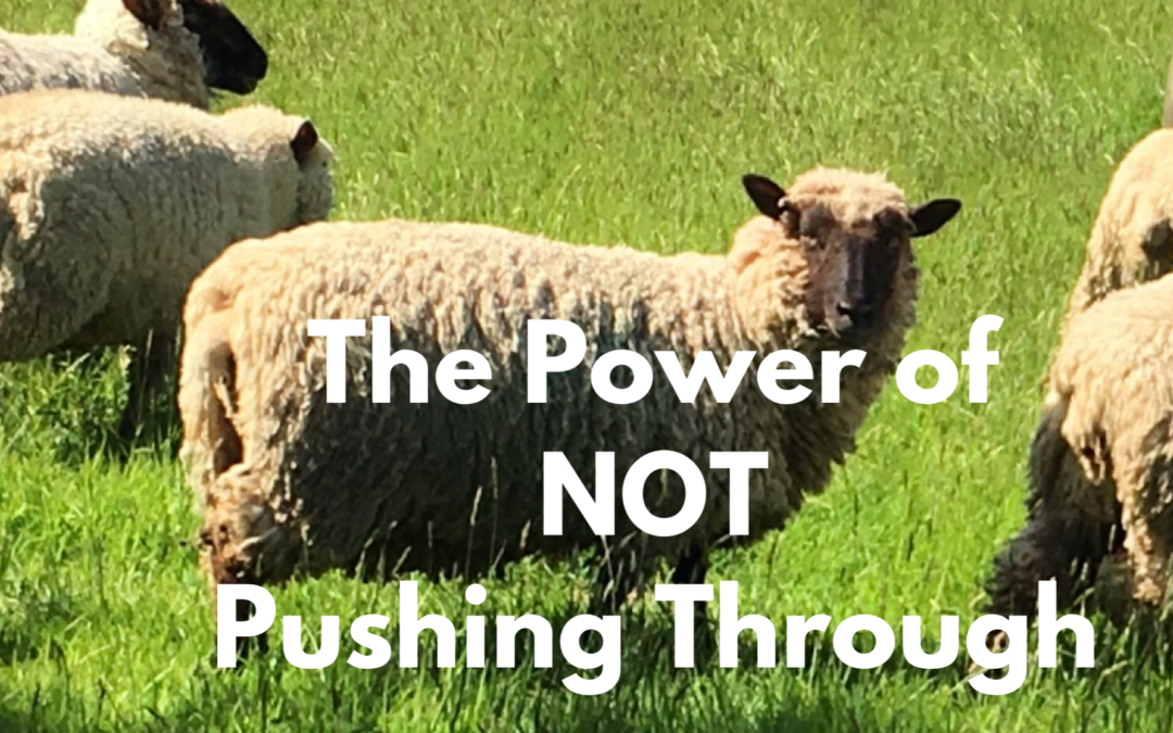 The Power of NOT Pushing Through